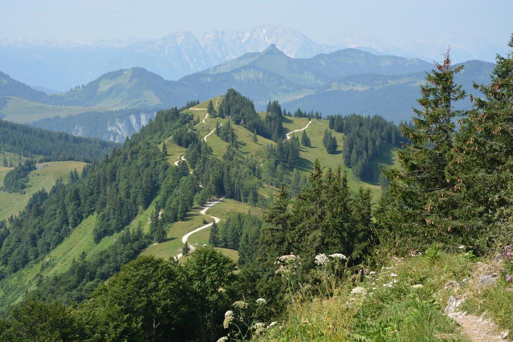 Appart Weisse Urlauben Am Wolfgangsee Sankt Gilgen Exteriör bild